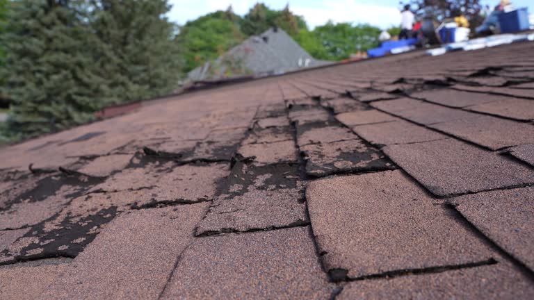 Best Metal Roofing Installation  in Broadview, IL