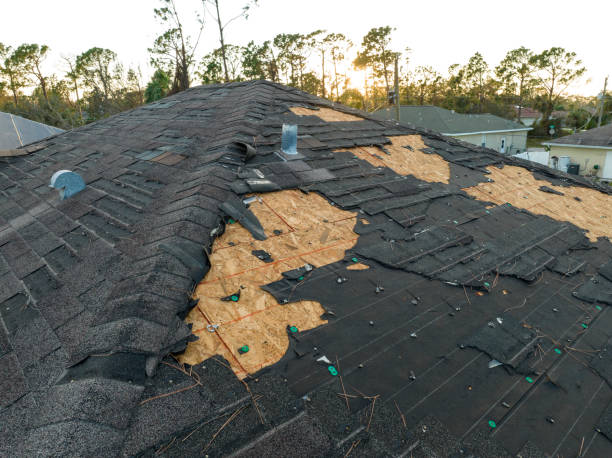 Best Steel Roofing  in Broadview, IL
