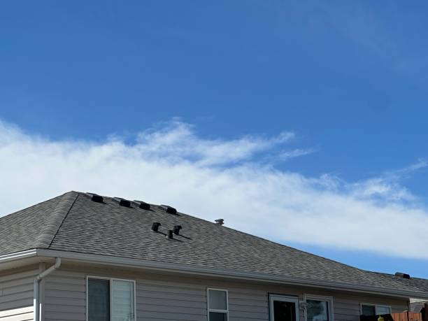 Best Roof Ventilation Installation  in Broadview, IL